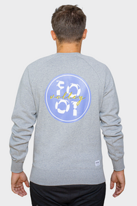 Sweater Footvolley grey